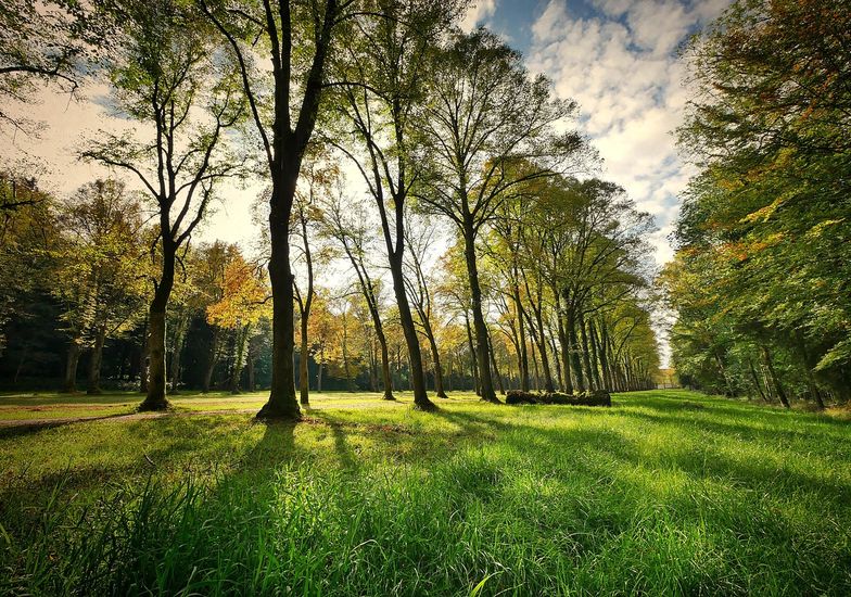 Immagine evento Pausa pranzo al parco Frizzoni