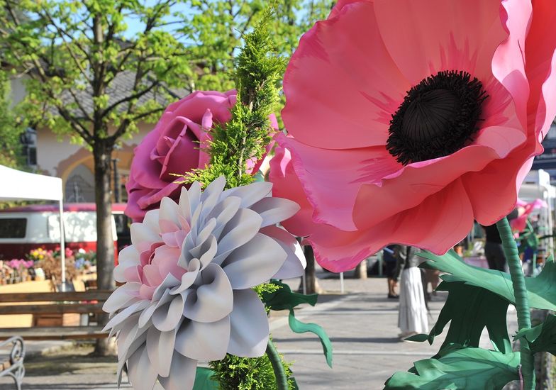 Immagine evento Flora & arte: San Pellegrino Terme tra petali e liberty