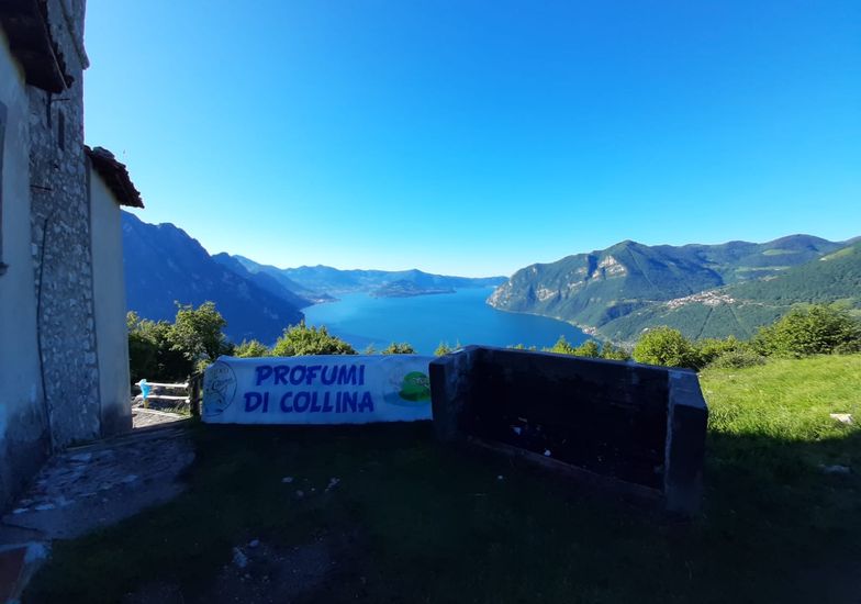 Immagine evento Camminata enogastronomica Profumi di Collina