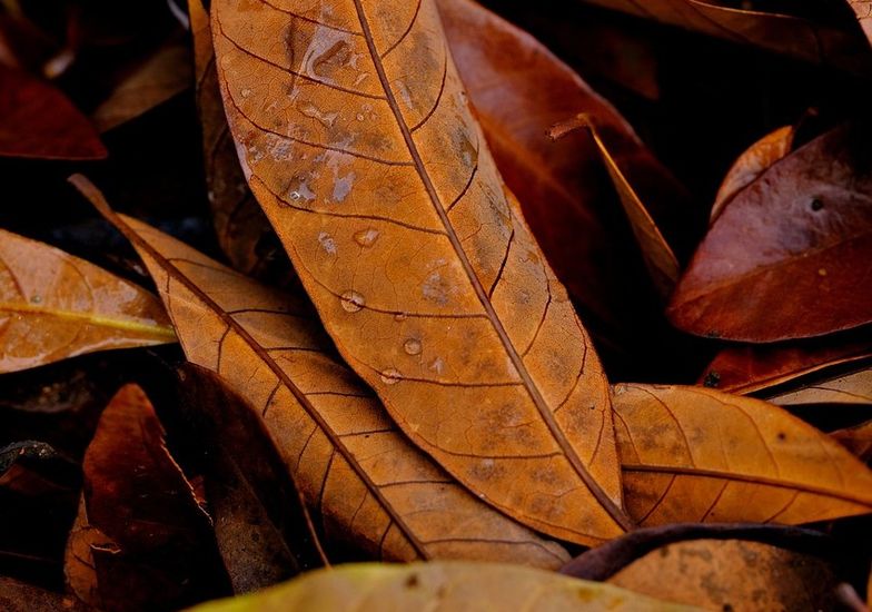 Immagine evento Riflessioni sul fine vita