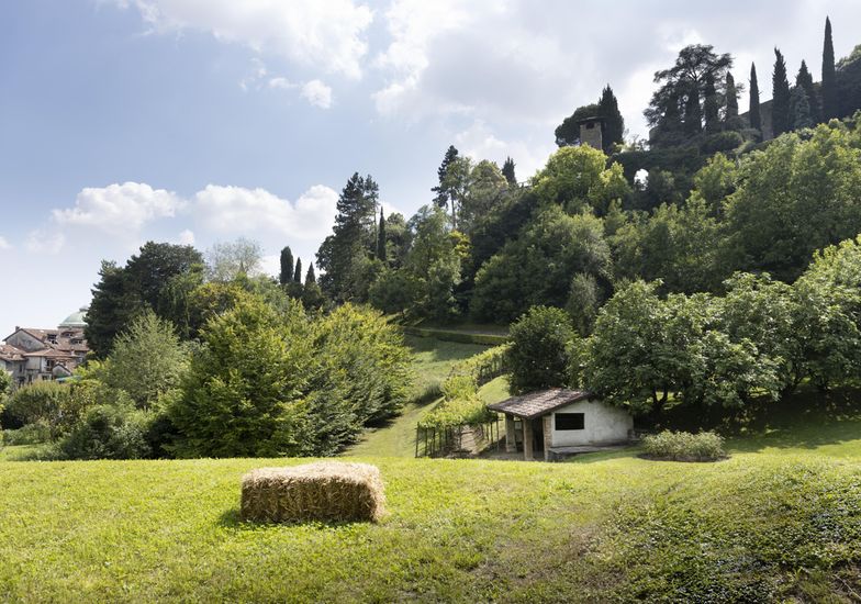 Immagine evento Appuntamenti in Ortaglia: Le piante selvatiche del giardino