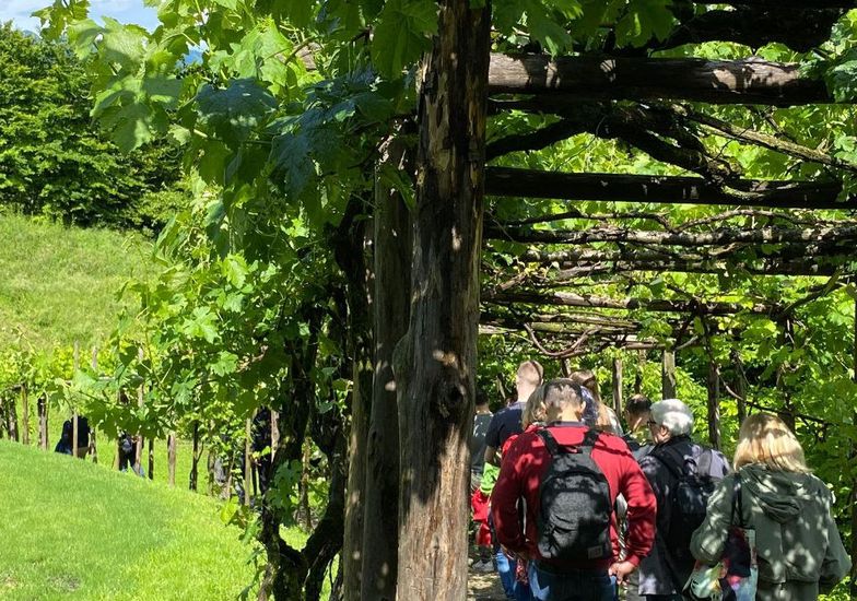 Immagine evento Passeggiata con il naturalista