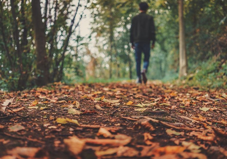 Immagine evento Camminata culturale tra San Vigilio e Monti «Sentieri di cultura e gusto»