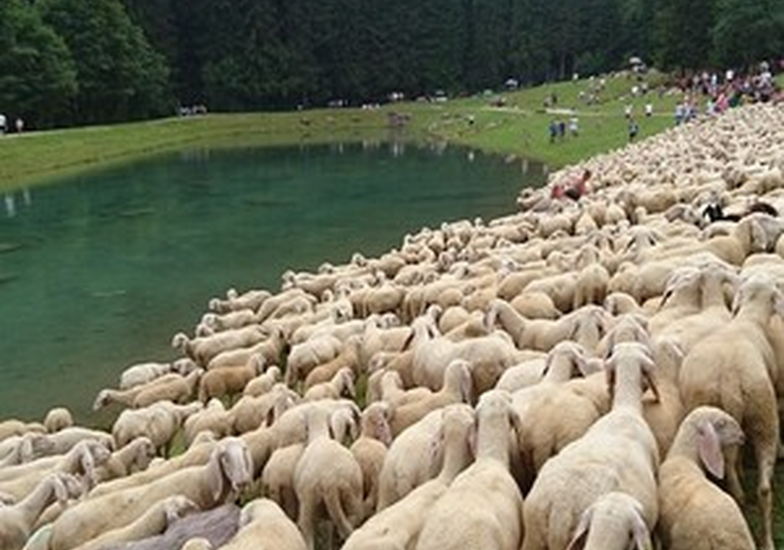 Immagine evento Transumanza a Valcanale