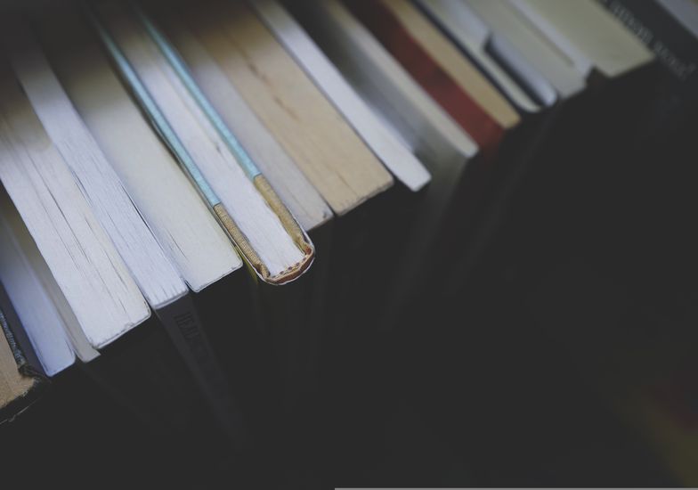 Immagine evento Baby Bookclub: il gruppo di lettura per l'infanzia