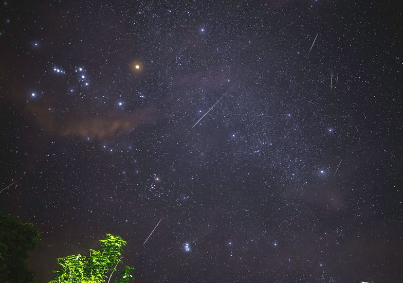 Immagine evento A caccia di stelle cadenti