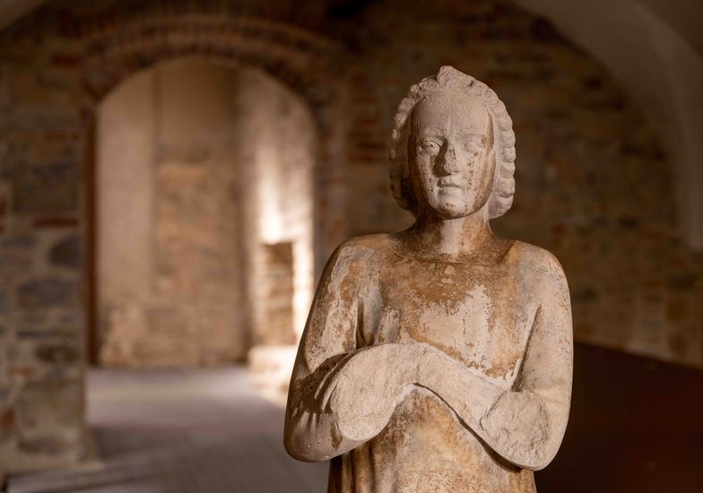 Immagine evento Una notte al museo