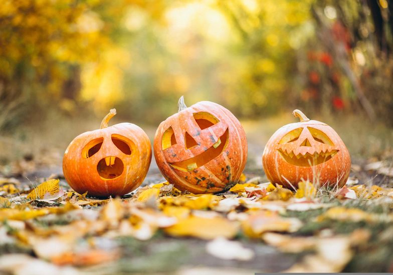 Fantasmi & co – Halloween