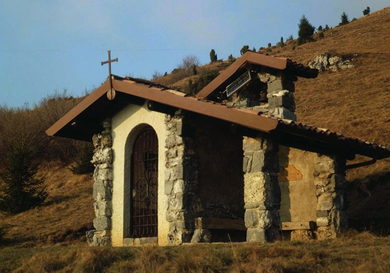 Immagine evento Camminata accompagnata sul Sentiero degli Alberi