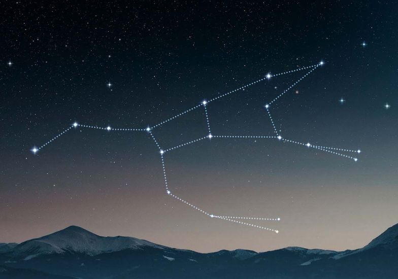 Immagine evento Favole e Animali del Cielo al Planetario