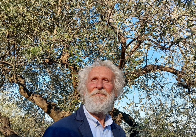 Immagine evento La terra degli ulivi