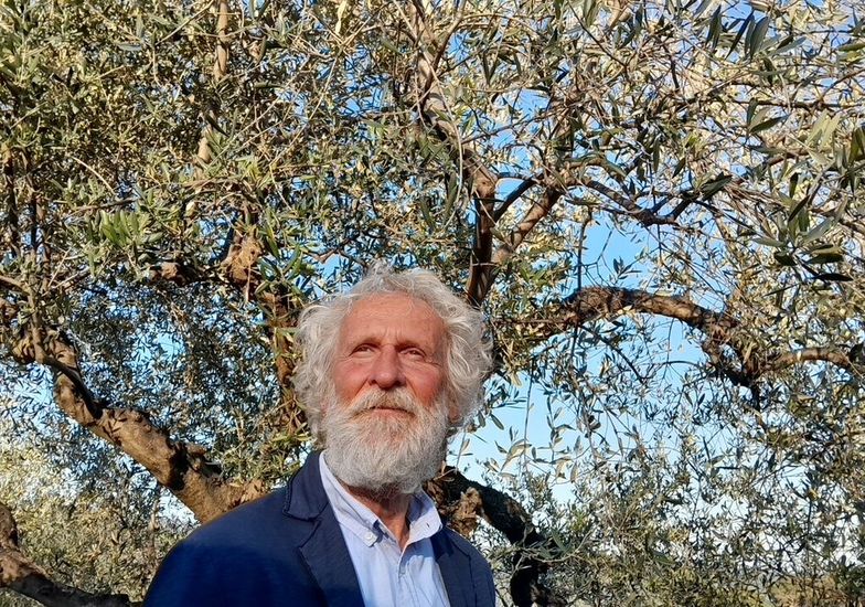 Immagine evento La terra degli ulivi