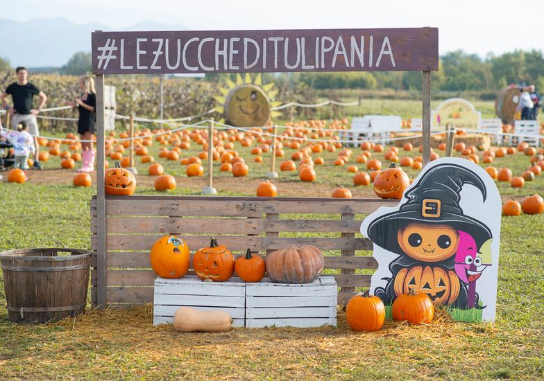 Immagine evento Tulipania